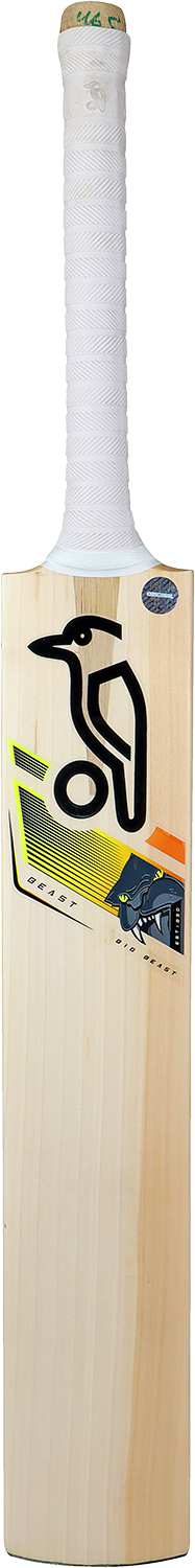 KOOKABURRA | BIG Beast English willow Cricket Bat