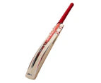 GRAY NICOLLS | ULTRA 600 English willow Cricket Bat