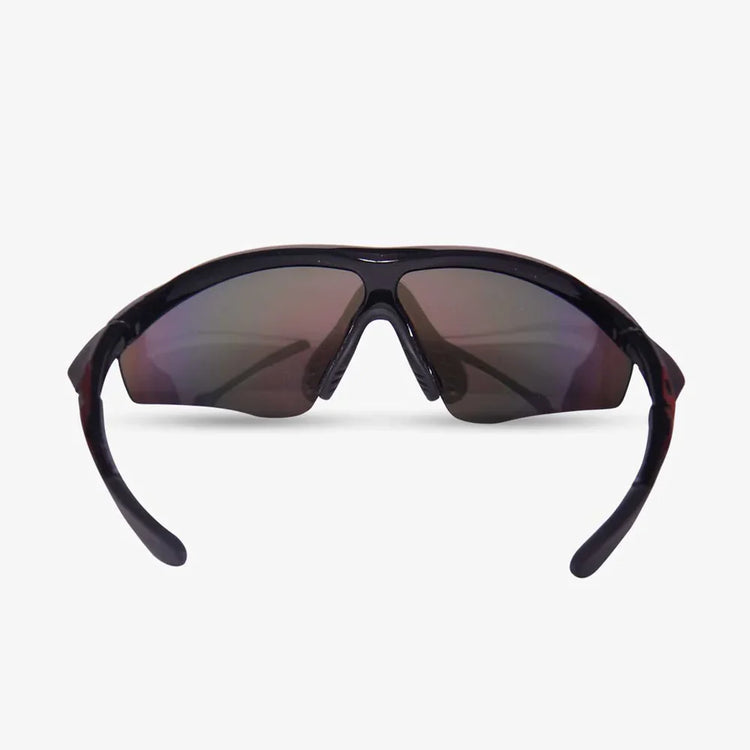 DSC PASSION SUNGLASSES