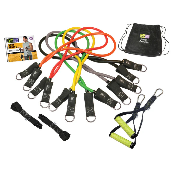 GO FIT MEGA PRO GYM