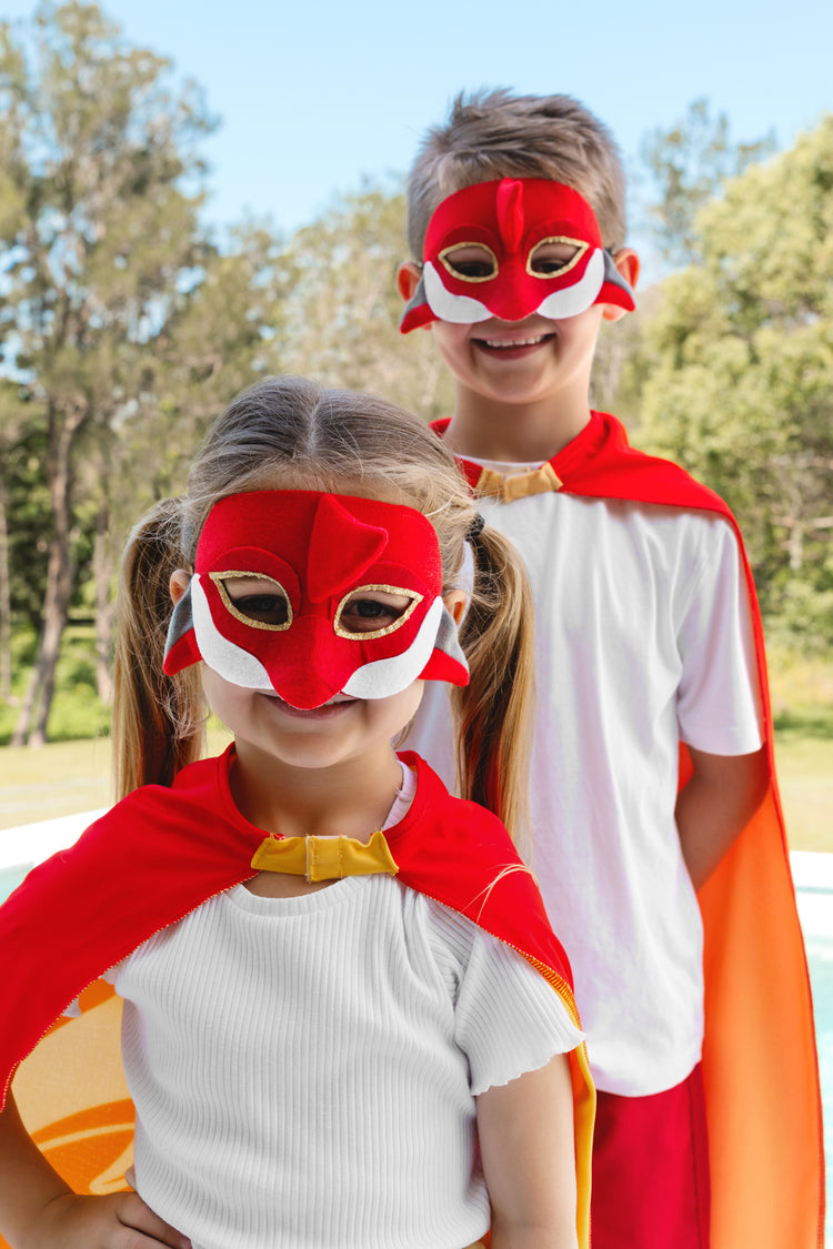 DOLPHINS MINI MASCOT MASK