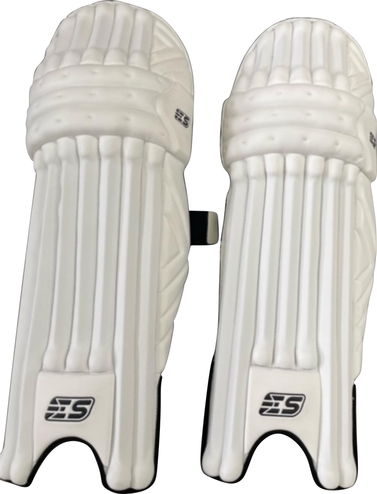 EVERYTHING SPORTS | Limited edition Batting Legguards