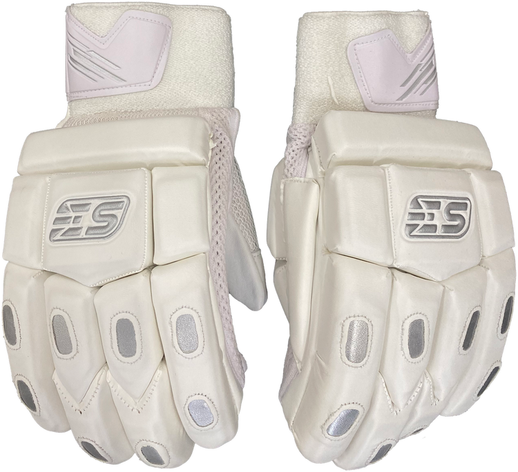 EVERYTHING SPORTS | TEST Batting Gloves