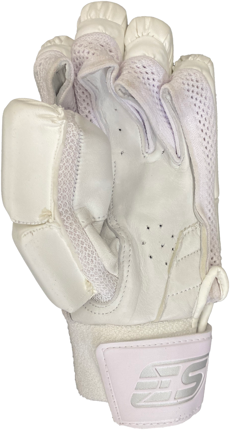 EVERYTHING SPORTS | TEST Batting Gloves