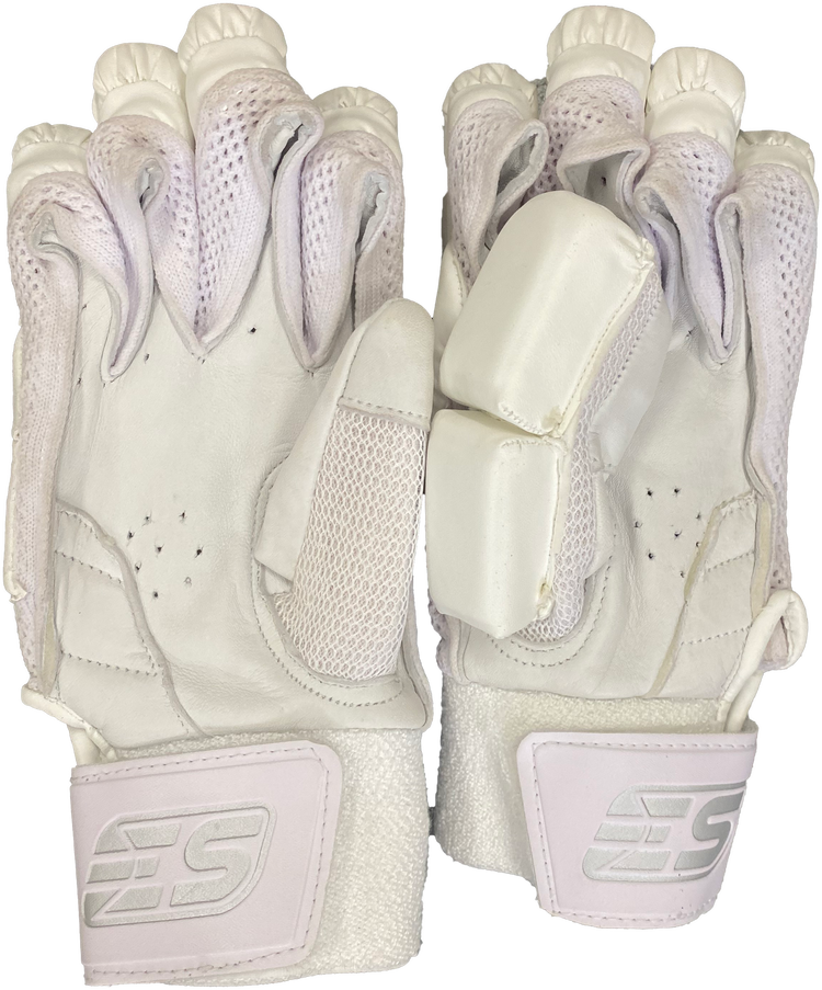 EVERYTHING SPORTS | TEST Batting Gloves