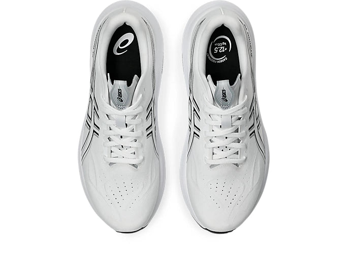 ASICS M GT-2000 14 (D)