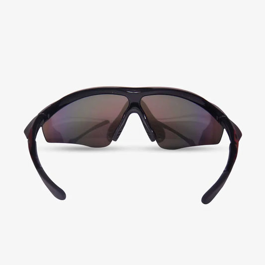 DSC PASSION SUNGLASSES