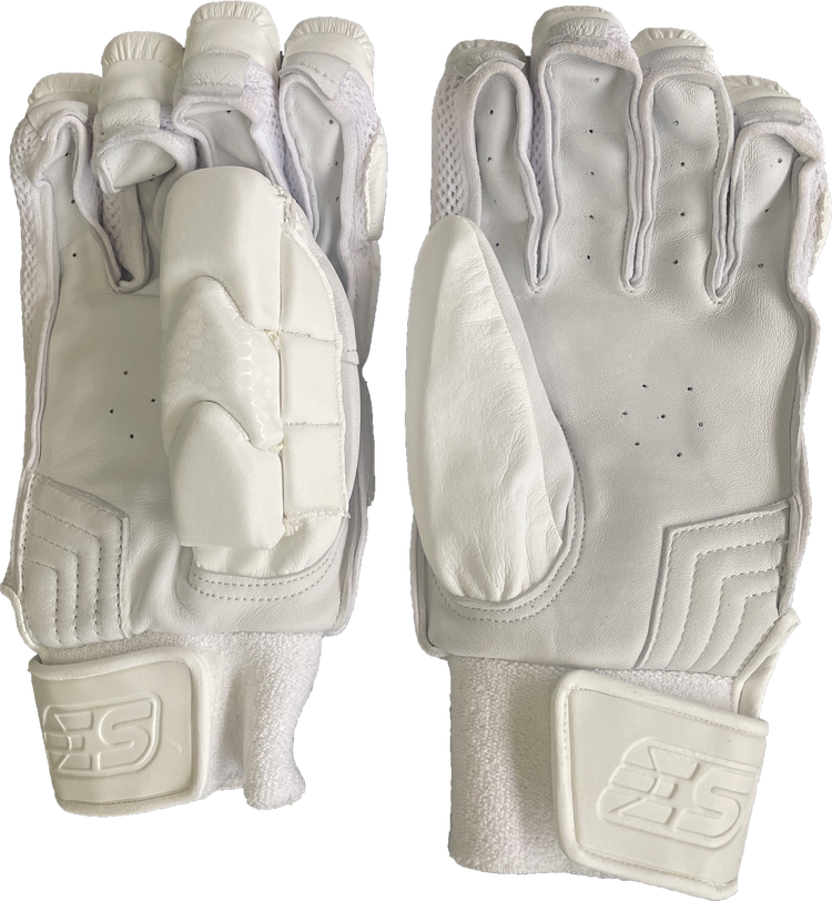 EVERYTHING SPORTS | limited Edition Batting Gloves