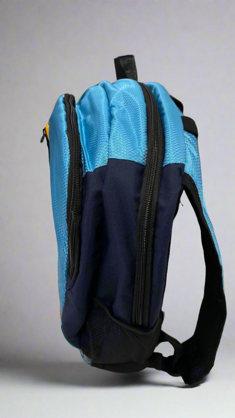 EVERYTHING SPORTS |   Sports Backpack