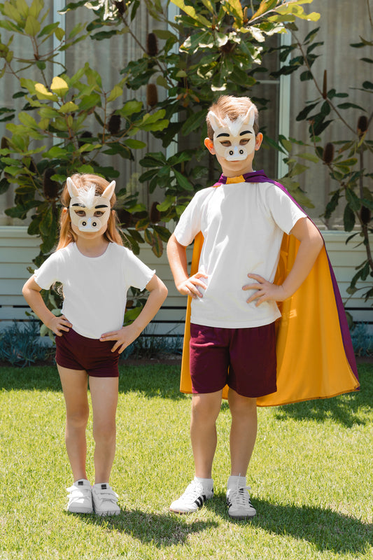 BRONCOS MINI MASCOT MASK
