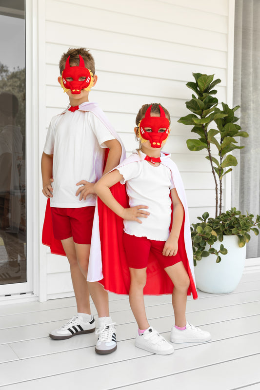 DRAGONS MINI MASCOT MASK