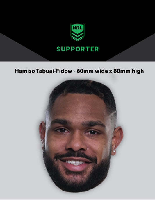 DOLPHINS HAMISO TABUAI-FIDOW STICKER