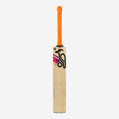 KOOKABURRA | AURA Pro 7.0  Junior English willow Cricket Bat