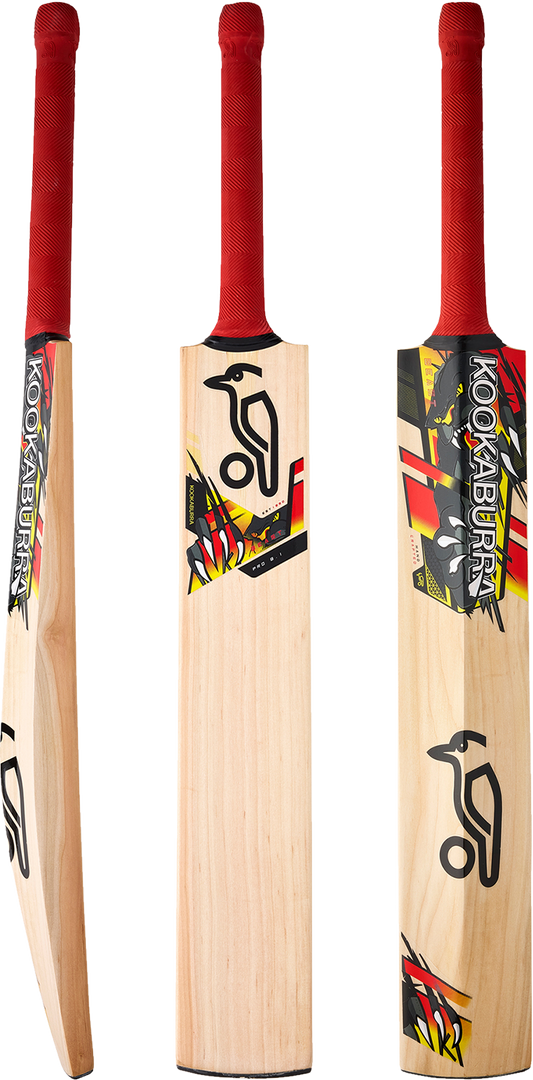KOOKABURRA | BEAST  Pro 8.1 Junior  kashmir willow Cricket Bat