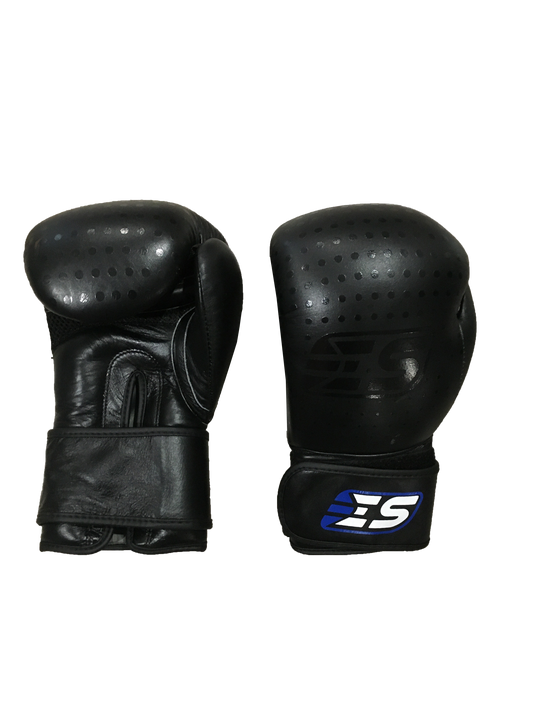 EVERYTHING SPORTS | 12 oz Boxing Gloves